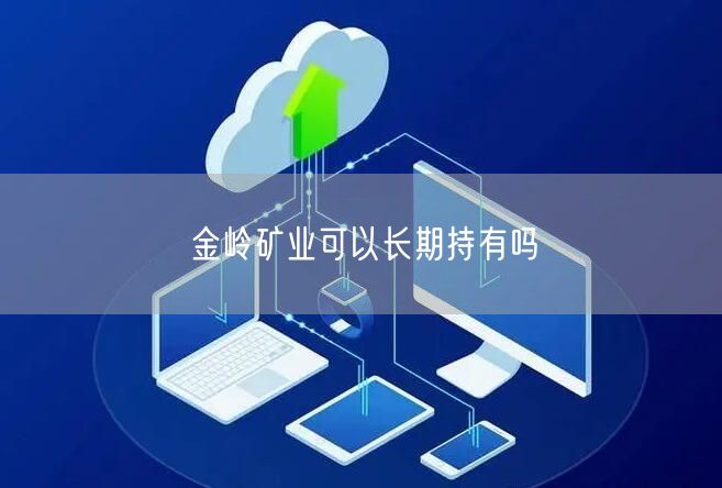 金岭矿业可以长期持有吗