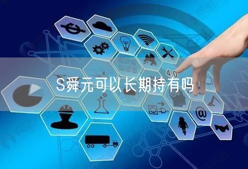 S舜元可以长期持有吗