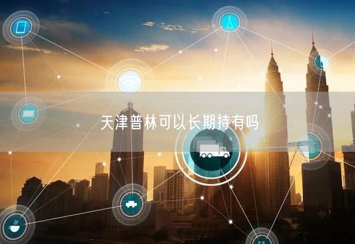 天津普林可以长期持有吗