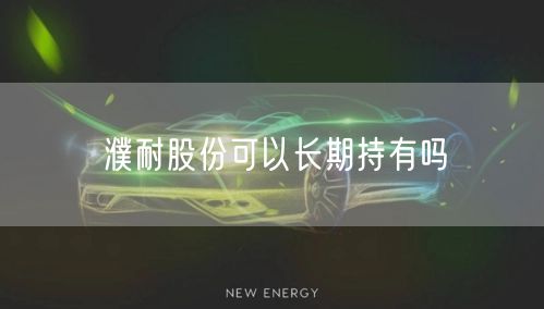 濮耐股份可以长期持有吗