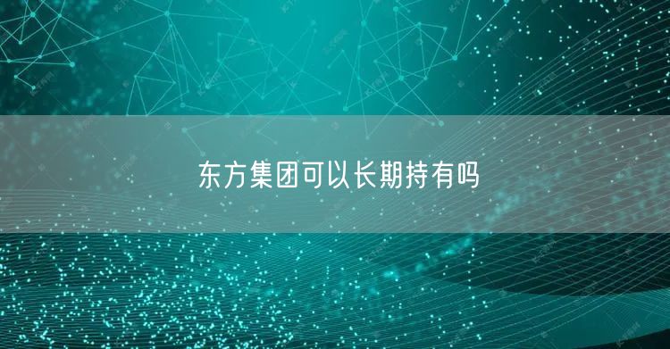 东方集团可以长期持有吗
