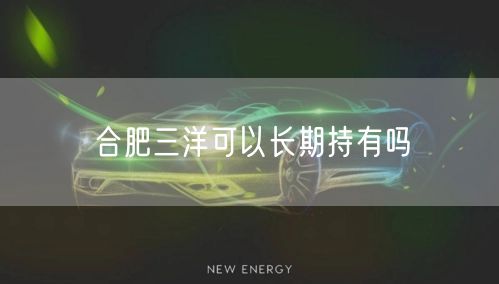 合肥三洋可以长期持有吗